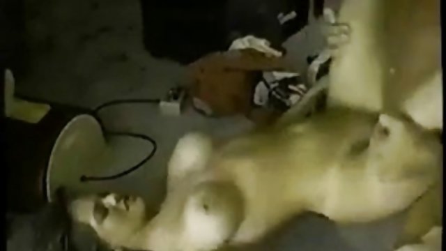 بدون ثبت نام در فیلم آنلاین آنلاین نیکول و سامرز در رابطه جنسی داغ گروهی که سوراخ sexy دختر برای آنها پاره شده است