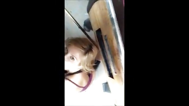 بدون ثبت نام در فیلم آنلاین آنلاین سه سگ یک بیگانه را دعوت می کنند که این سگ تصاویر ها را تحسین می کند